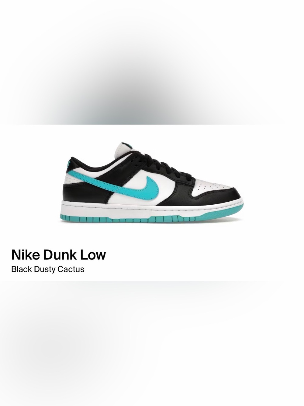 Nike Dunk Low Retro Size 10 White and Dusty Cactus Black